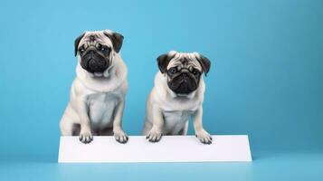 pugs com esvaziar papel borda brincar em azul fundo. cópia de espaço. ai gerado foto