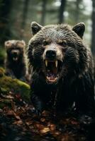 uma rosnar Lobo confronta uma protetora mãe Urso exibindo a intenso rivalidade para Comida e território dentro a região selvagem foto