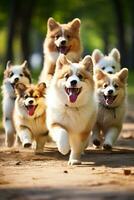 uma alegre momento capturado adorável filhotes brincar com seus orgulhoso pai cachorros dentro uma vibrante parque configuração foto