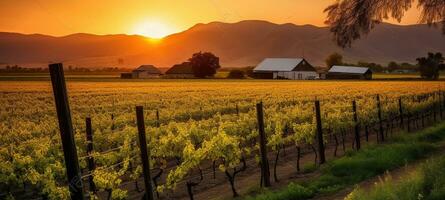 uma pôr do sol sobre uma Vinhedo com uma celeiro dentro a distância e montanhas dentro a fundo com uma cerca e árvores dentro a primeiro plano, generativo ai foto