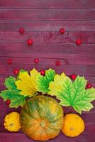 laranja-verde, amarelo abóboras com bordo folhas e rosa ancas em Pranchas. outono, Ação de graças dia, dia das Bruxas. Comida. vertical, horizontal. plano deitar. cópia de espaço foto