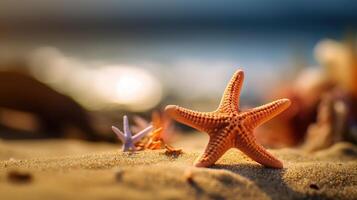 uma estrelas do mar deitado em uma areia dentro uma de praia foto