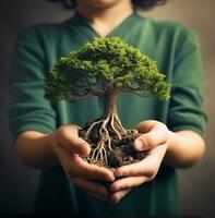 criança mão segurando árvore plantar dentro de Meio Ambiente verde conceito estoque foto 3390818, natureza estoque foto