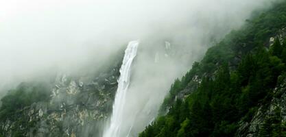 montanha cascata e spray cascata fundo corrente dentro natureza rico dentro verde árvores foto