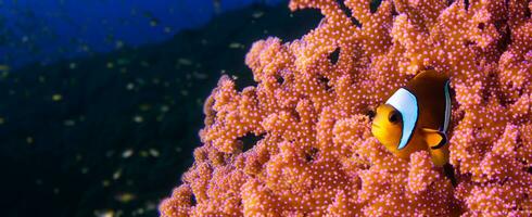palhaço peixe e coral embaixo da agua anêmona peixe vida dentro a mar 3d ilustração foto