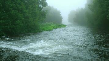 água corrente dentro natureza rio dentro chuvoso estação e frio névoa 3d ilustração foto