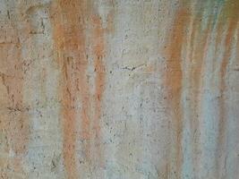 natural árvore latido textura fundo foto