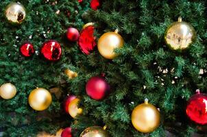 dourado e vermelho bolas decorado em Natal árvore, decorado árvore, geralmente a sempre-verde conífera. foto