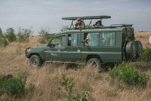 jipe safári dentro maasai mara nacional parque Quênia foto