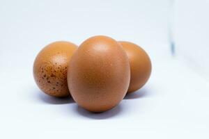 três ovos de galinha em um fundo branco foto