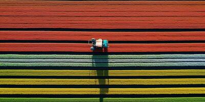 generativo ai, Fazenda colorida paisagem, agrícola Campos, lindo interior, país estrada. natureza ilustração, topo Visão drone, horizontal bandeira. foto