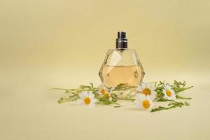 frasco de perfume da moda com aroma de camomila em fundo amarelo foto