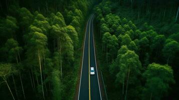 generativo ai, aéreo Visão do estrada entre verde floresta, verde panorama foto