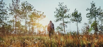 ásia homem viagem natureza. viagem relaxar. mochila andar dentro a floresta. Tailândia foto