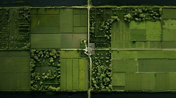 generativo ai, Fazenda paisagem, agrícola Campos, lindo interior, país estrada. natureza ilustração, fotorrealista topo Visão drone, horizontal bandeira. foto