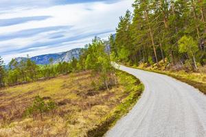 caminhando trekking path road caminho para as montanhas da Noruega. foto