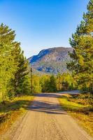 amanhecer com montanhas chalés natureza floresta paisagem nissedal noruega. foto