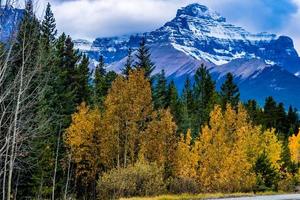 as cores do outono abundam ao longo da avenida dos campos de gelo. parque nacional de banff, alberta, canadá foto