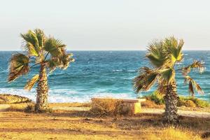 costa mediterrânea ensolarada com palmeiras. horário de verão foto
