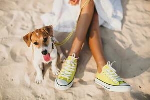 jovem à moda hipster mulher jogando cachorro cachorro jack russell foto