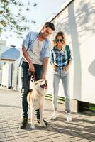 jovem à moda casal caminhando com cachorro dentro rua, homem e mulher feliz juntos foto