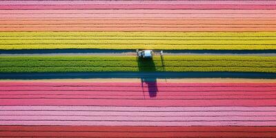 generativo ai, Fazenda colorida paisagem, agrícola Campos, lindo interior, país estrada. natureza ilustração, topo Visão drone, horizontal bandeira. foto