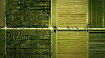 generativo ai, Fazenda paisagem, agrícola Campos, lindo interior, país estrada. natureza ilustração, fotorrealista topo Visão drone, horizontal bandeira. foto