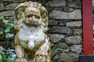 ásia leão escultura dentro Madeira jardim foto