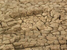 árido solo textura, seco rachado terra para lama, Castanho seco terra foto