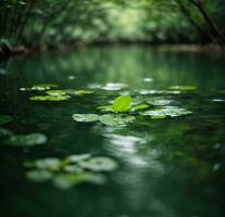 verde folhas refletindo dentro a água, raso foco. ai gerado foto