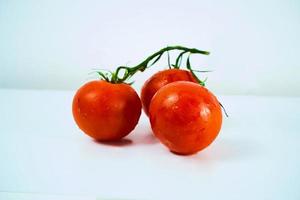 tomates. ramo de tomate. tomates isolados no branco. com traçado de recorte. profundidade total de campo. foto