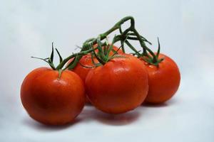 tomates. ramo de tomate. tomates isolados no branco. com traçado de recorte. profundidade total de campo. foto