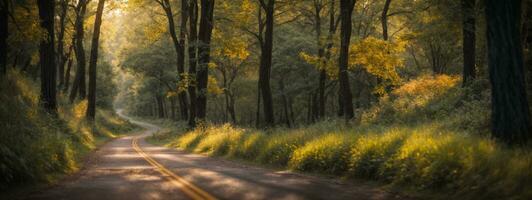 estrada dentro Sombrio floresta, luz solar, exuberante vegetação e grama. ai gerado foto