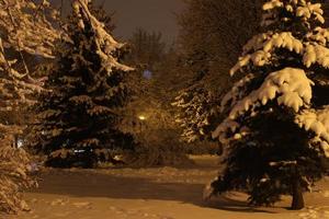 parque noturno de inverno com neve foto