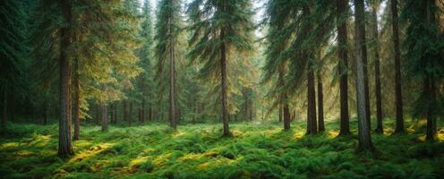 saudável verde árvores dentro uma floresta do velho abeto, abeto e pinho. ai gerado foto