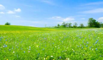 lindo verde campo com flores silvestres. ai generativo foto