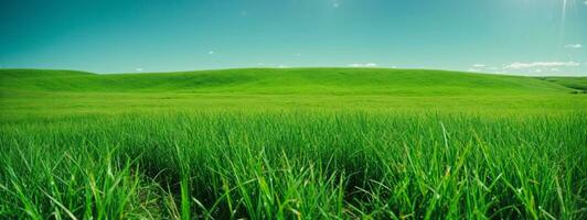 verde Relva em azul Claro céu, Primavera natureza tema. panorama. ai gerado foto