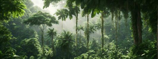 profundo tropical selvas do sudeste Ásia dentro agosto. ai gerado foto