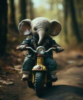 uma fofa bebê elefante em uma minibike equitação através uma floresta foto