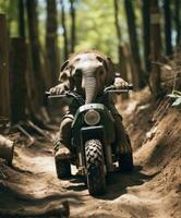 uma fofa bebê elefante em uma minibike equitação através uma floresta foto