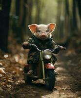uma fofa porco em uma minibike equitação através uma floresta foto