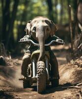 uma fofa bebê elefante em uma minibike equitação através uma floresta foto