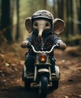 uma fofa bebê elefante em uma minibike equitação através uma floresta foto