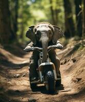 uma fofa bebê elefante em uma minibike equitação através uma floresta foto