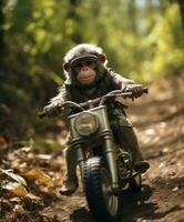 uma chimpanzé em uma minibike equitação através uma floresta foto