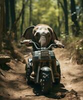 uma fofa bebê elefante em uma minibike equitação através uma floresta foto