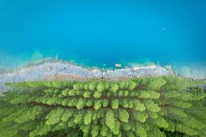 aéreo Visão do pinho jardim com azul lago às phang nga, Tailândia foto