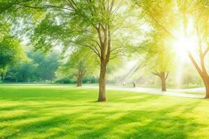 lindo panorama parque com árvores e Sol. colorida folhagem dentro a parque. pró foto