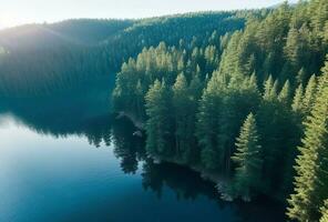 ai gerado. ai generativo - pinho refúgio reflexões - uma sereno manhã às a montanha lago foto