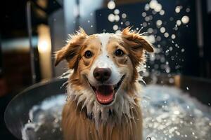 engraçado cachorro tendo Diversão jogando com água dentro banheira.. generativo ai foto